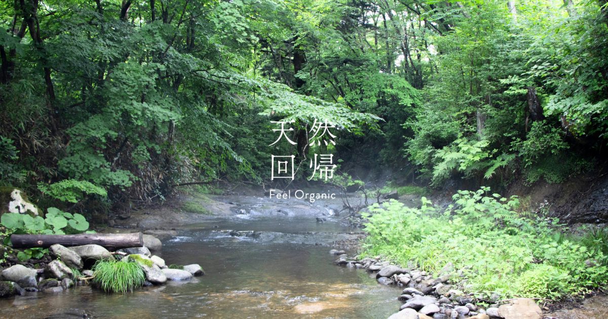 詰替え | 天然回帰