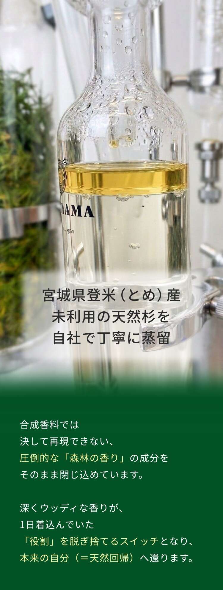 宮城県登米さん 未利用の天然杉を自社で丁寧に蒸留