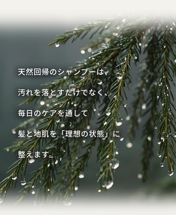 天然回帰のシャンプーは汚れを落とすだけではなく、毎日のケアをとおして髪と地肌を「理想の状態」に整えます。