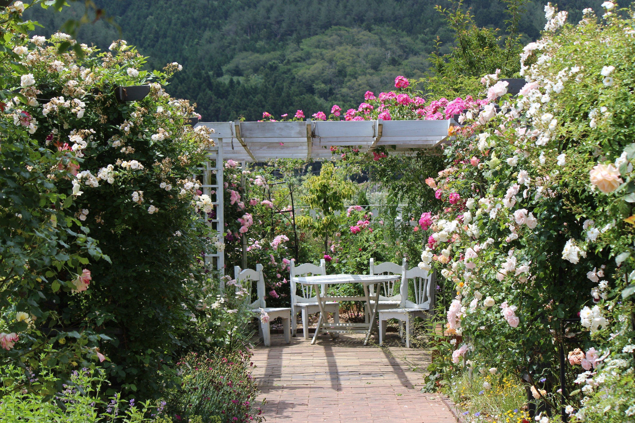 想いの循環こそがサステナブルの根幹