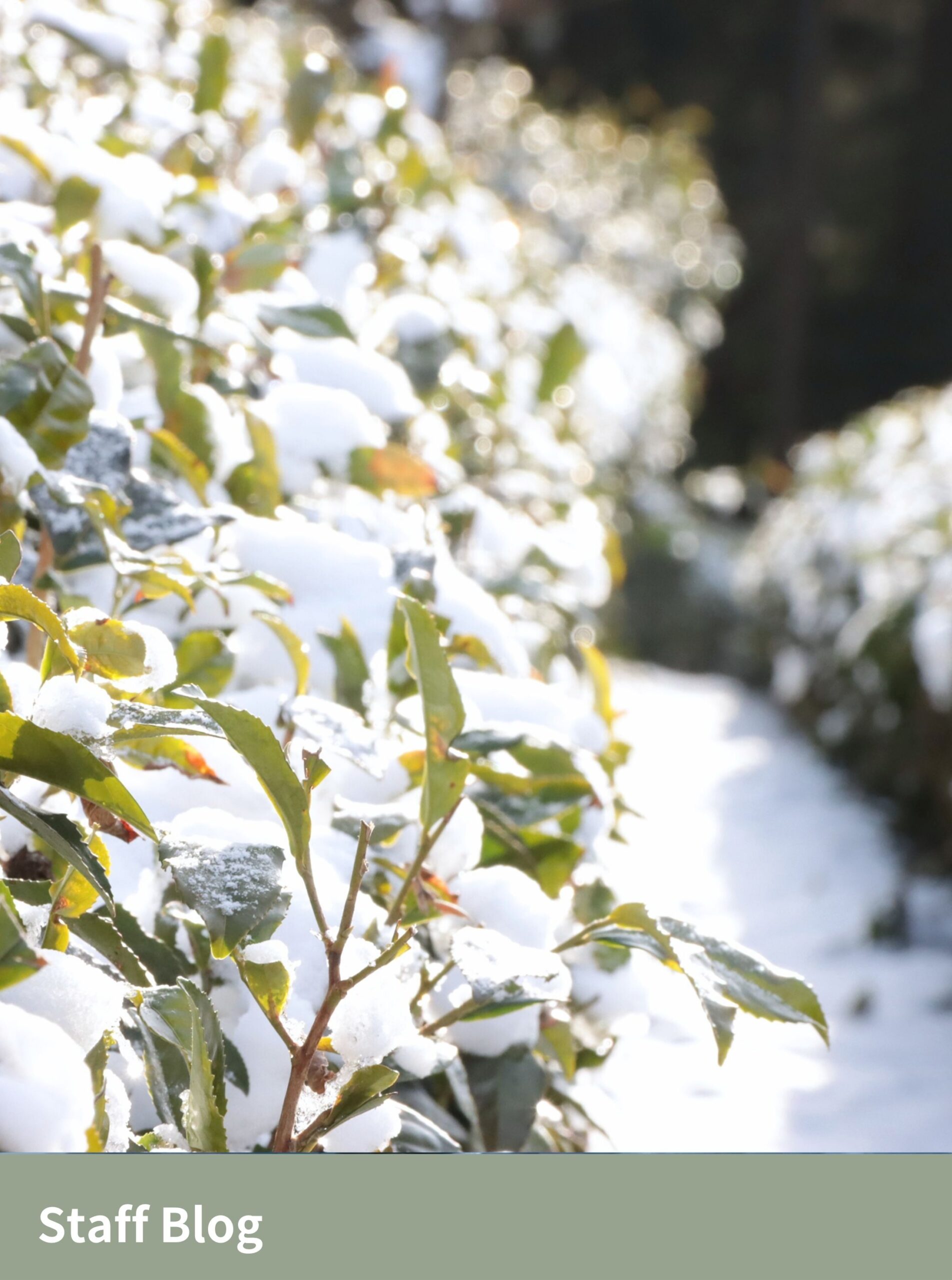 Vol.4　想いの継承