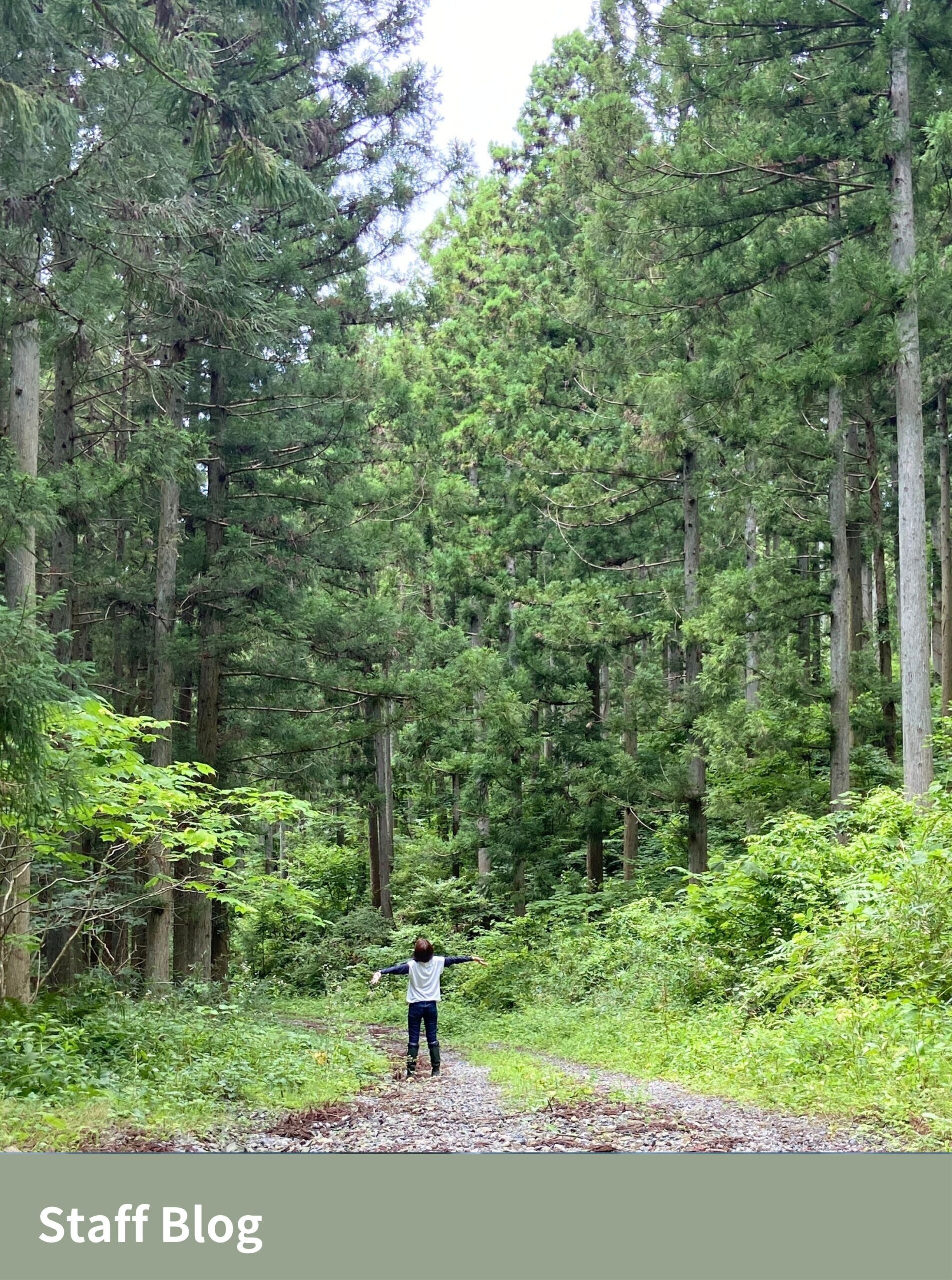 Vol.2　1本ができるまで