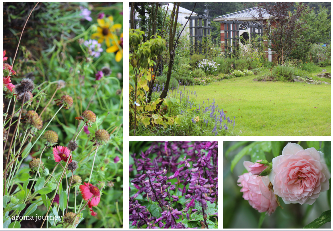 東日本大震災から15年、雄勝の香りが届けてくれるもの