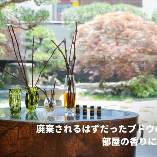 廃棄されるはずだったブドウのツルが、部屋の香りになるまで | 天然 